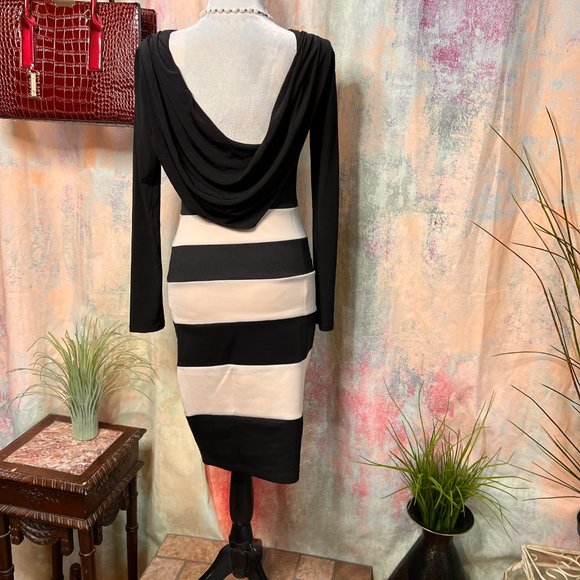 πTrixxi Bodycon Dress with Great Deep Waterfall Optic Neckline Backside! - Picture 8 of 14